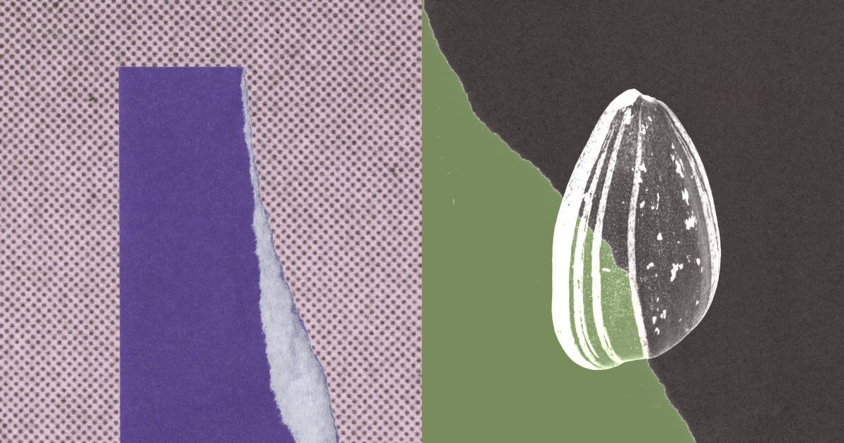 A three-panel collage in purple, green and black: a purple block over halftone paper on the left, and a striped seed-like shape against a dark background on the right