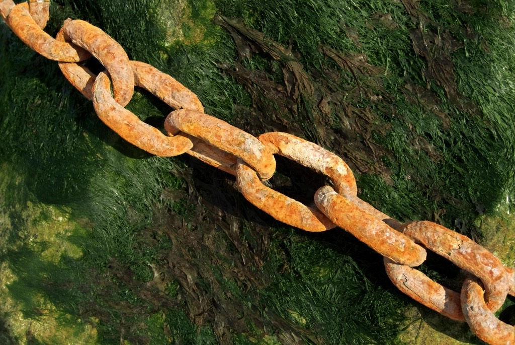 A rusted iron chain lying across a seaweed-covered rock